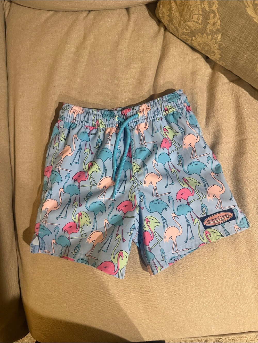 Vineyard Vines Light Blue Flamingo Swim Trunks